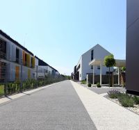 Trawnikowe_gladki_grafit_Complex_plukany_szary_grafitowy