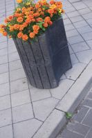 complex_szary_gladki7