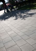 szary_gladki11
