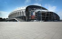 szary_gladki3