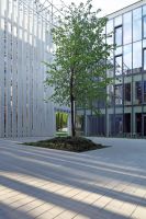 Urbanika-60_szary_gladki_Obrzeze_trawnikowe_szary_gladki_15