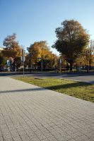 beganit_szary_plukany3