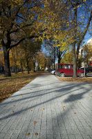 beganit_szary_plukany5