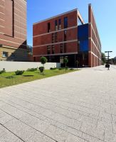 Complex_szary_plukany_1C