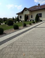 Complex_szary_plukany_Avanti_grafitowy_szary__plukany_11