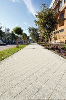 complex_szary_plukany5