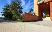 complex_szary_plukany_12