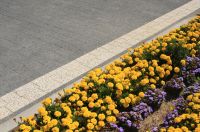 Trento_szary_grafitowy_plukany_Kraweznik_drogowy_15_szary_gladki_7