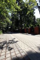 Ekol_szary_gladki_Complex_szary_gladki8