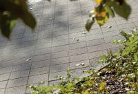Obrzeze_chodnikowe_szary_gladki_Complex_szary_plukany_6