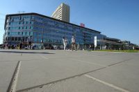 szary_gladki1